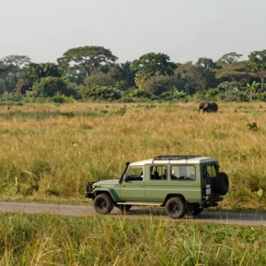 Kaziranga Park Day Drive